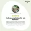 JungleJumbo Joy XXL  834649_k
